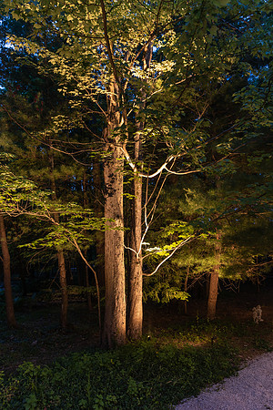 Ridgebrook-056-HDR