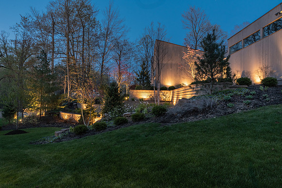 Wychwood-032-HDR