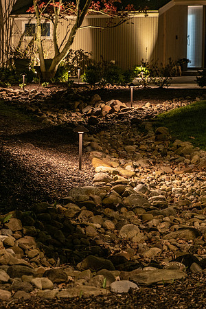 Wychwood-074-HDR
