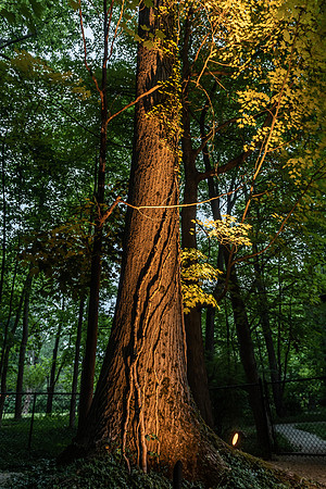 Ridgebrook-029-HDR