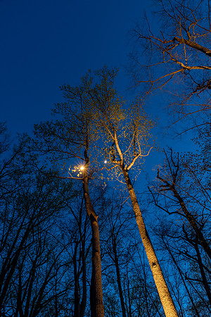 Wychwood-049-HDR
