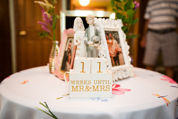 ErinBridalShower-17