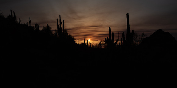 arizona-242