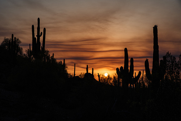 arizona-280