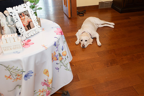 ErinBridalShower-162
